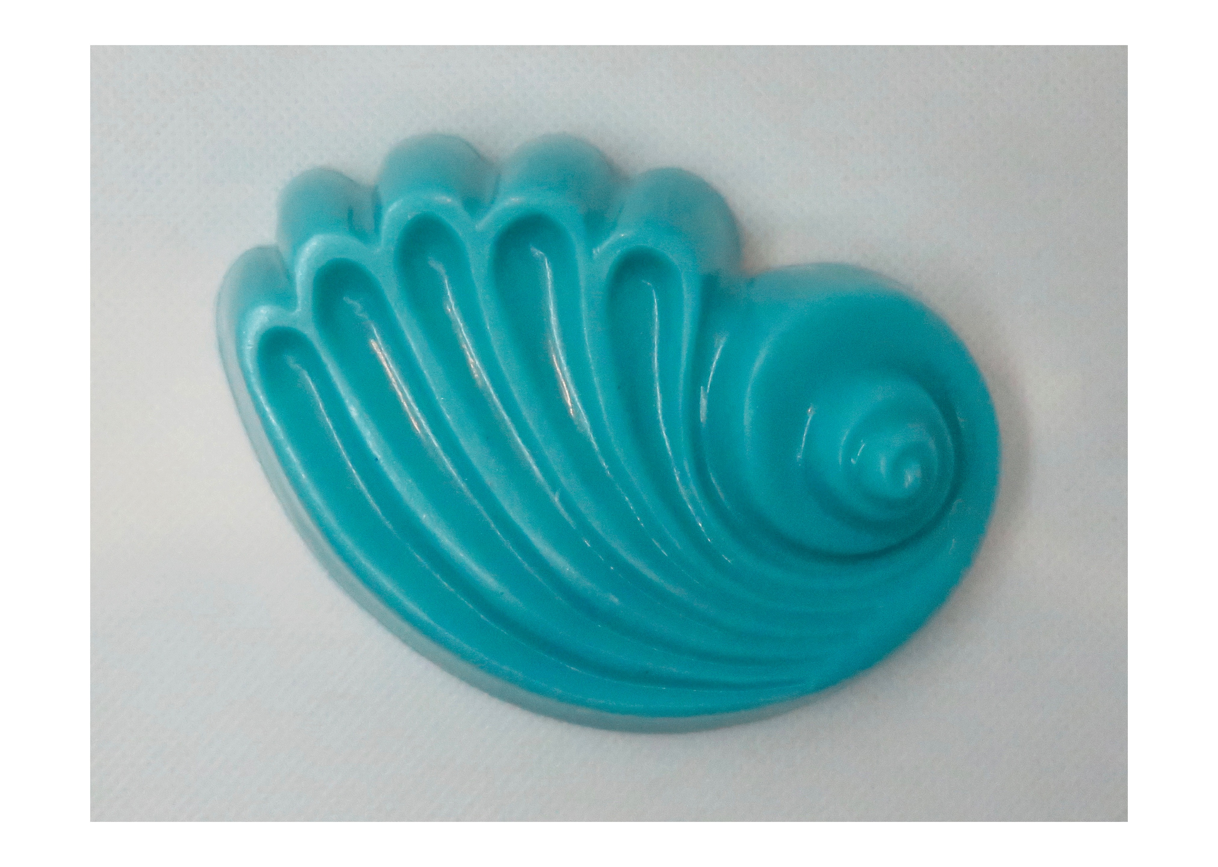 Sea Shell Soap | Herb's Daughter: Handmade Custom Soap